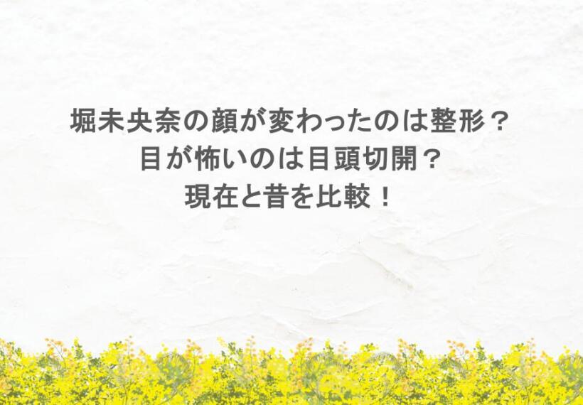 堀未央奈の顔が変わったのは整形？目が怖いのは目頭切開？現在と昔を比較！