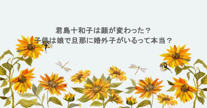 君島十和子は顔が変わった?子供は娘で旦那に婚外子がいるって本当?
