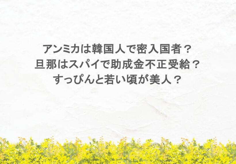 アンミカは韓国人で密入国者？旦那はスパイで助成金不正受給？すっぴんと若い頃が美人？