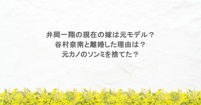 井岡一翔の現在の嫁は元モデル？谷村奈南と離婚した理由は何？元カノのソンミを捨てた？