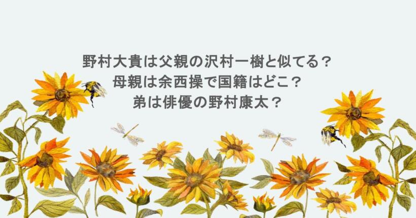 野村大貴は父親の沢村一樹と似てる？母親は余西操で国籍はどこ？弟は俳優の野村康太？