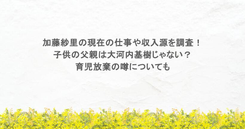加藤紗里の現在の仕事や収入源を調査！子供の父親は大河内基樹じゃない？育児放棄の噂についても