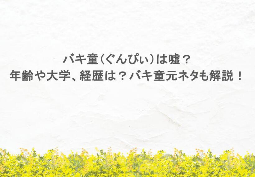 バキ童（ぐんぴぃ）は嘘？年齢や大学、経歴は？バキ童元ネタも解説！