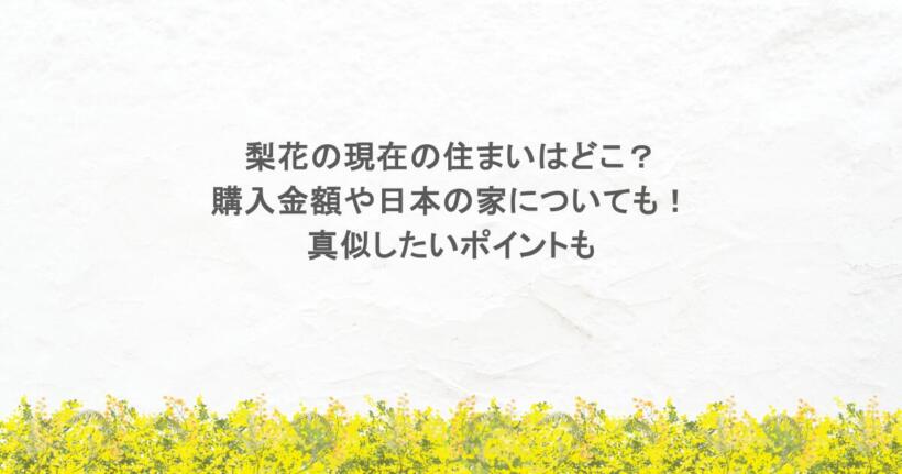 梨花の現在の住まいはどこ?購入金額や日本の家についても!真似したいポイントも